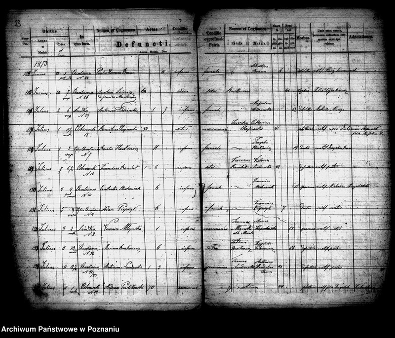 Obraz 13 z jednostki "Księga zgonów"