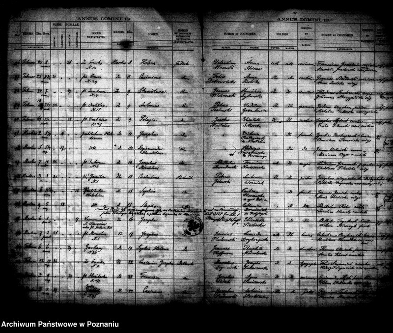 Obraz 8 z jednostki "Księga urodzin"