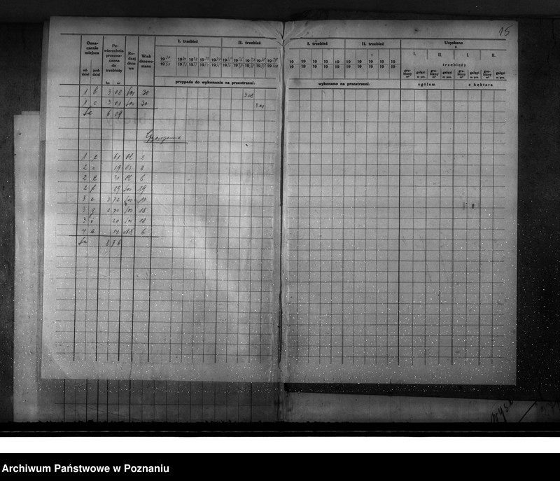 Obraz 19 z jednostki "Majętność leśna Węgierskie powiat średzki [opis lasu i plan cięć]"