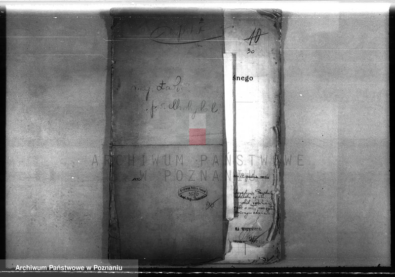 Obraz 4 z jednostki "Majętność leśna Ławica w powiecie międzychodzkim /plan urządzenia gospodarstwa leśnego/"