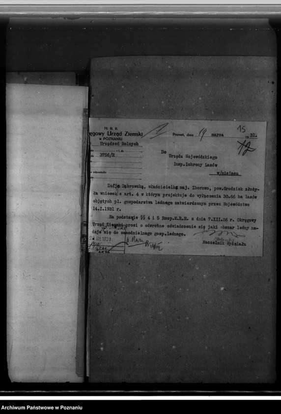 Obraz 19 z jednostki "Majętność leśna Zborowo powiat poznański"