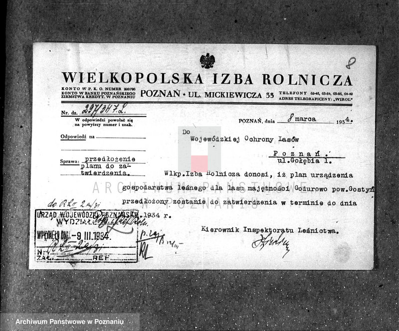 Obraz 12 z jednostki "Majętność leśna Godurowo w powiecie gostyńskim"