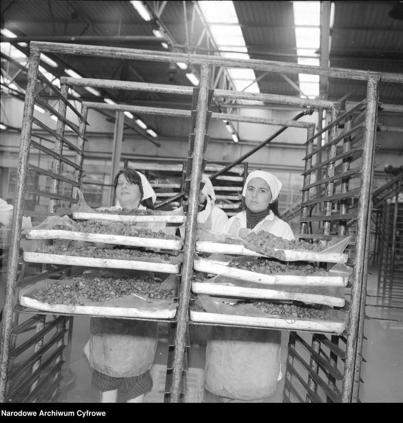 Obraz 13 z jednostki "Zakład produkcyjny Przedsiębiorstwa Handlu Zagranicznego "Hortex" w Płońsku"