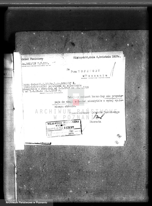 Obraz 5 z jednostki "Zalesienie nieużytków w powiecie międzychodzkim"