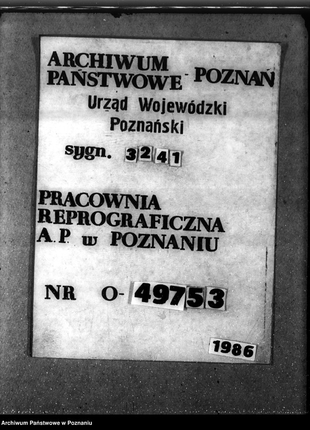 Obraz 1 z jednostki "Las majętności Dalabuszki powiat gostyński"