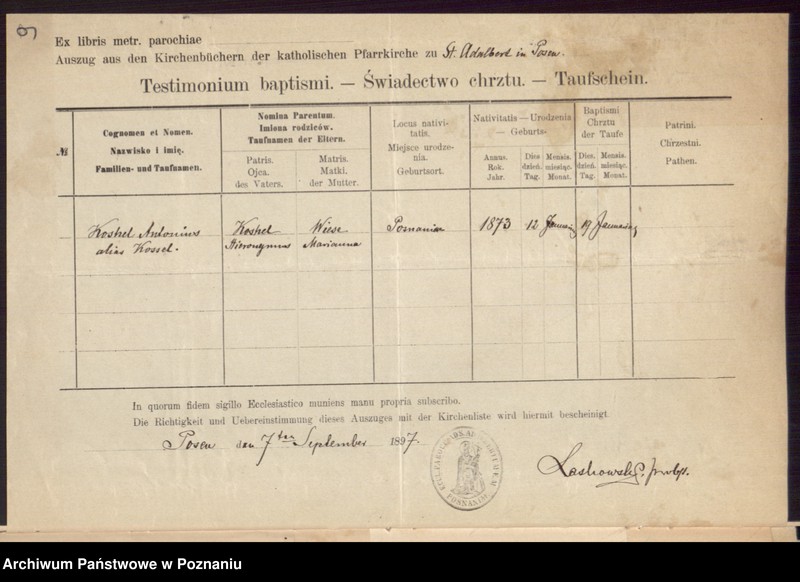 Obraz 11 z jednostki "Die von den Verlobten beigebrachten Urkunden zur Eheschliessung pro 1897"