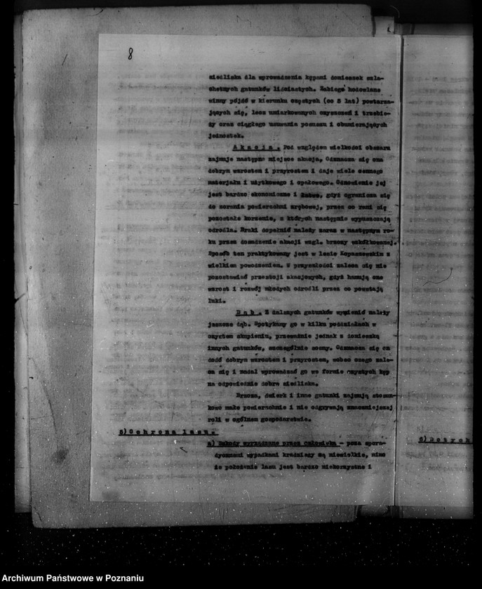 Obraz 11 z jednostki "Plan urządzania gospodarstwa leśnego dla lasu majętności Kopaczewo- Rogaczewo powiat kościański"