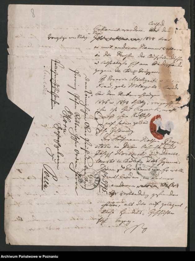 Obraz 11 z jednostki "A. betr. Gutspächter Iłowiecki in Rynsk, Kreis Thorn und andere des Namens"