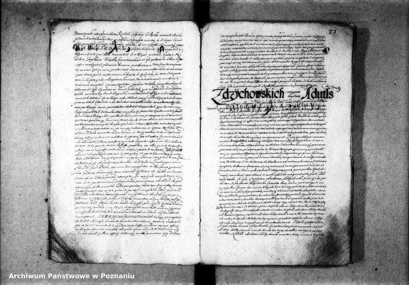 Obraz 15 z jednostki "Resignationes [inducta]"