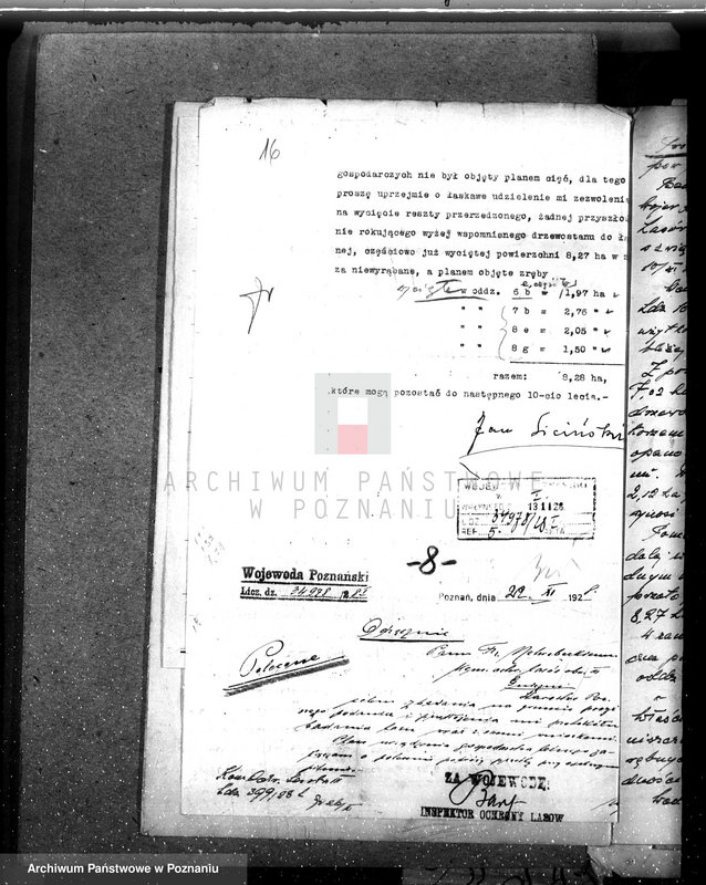 Obraz 19 z jednostki "Nadzór nad gospodarką w lasach majętności Modliszewo powiecie gnieźnieńskim"