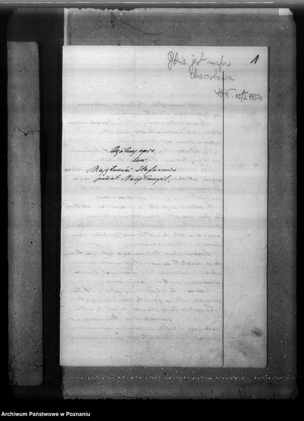 Obraz 5 z jednostki "Plan gospodarczy lasów majątku Stefanowo w powiecie nowotomyskim"