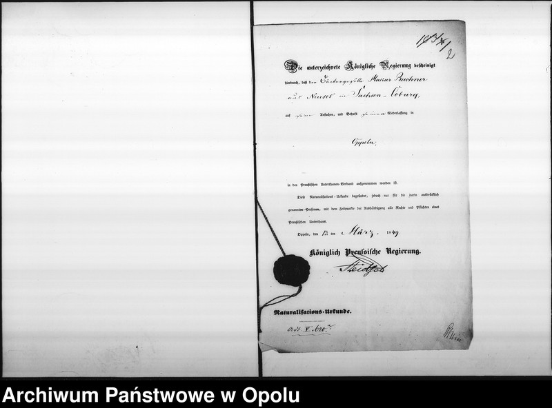 Obraz 6 z jednostki "Acta betr[effend] Naturalisations Urkunde des Bäcker Buchner"