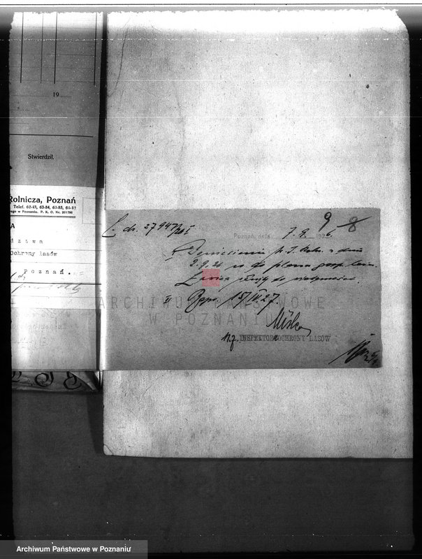 Obraz 13 z jednostki "Majętność leśna Ławica w powiecie międzychodzkim /nadzór nad gospodarką leśną/"