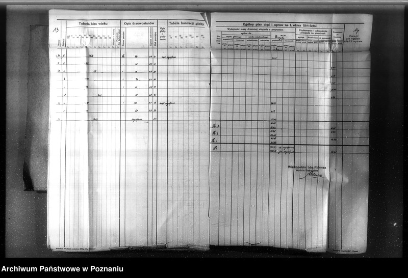 Obraz 12 z jednostki "Nadzór nad gospodarką w lasach majętności Nowy Dwór w powiecie nowotomyskim"