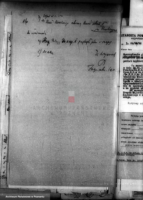 Obraz 20 z jednostki "Nadzór nad gospodarką w lasach majętności Plugawice powiat kępiński"