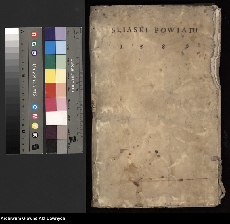 image.from.unit.number "[Rejestr poborowy powiatu śląskiego]."