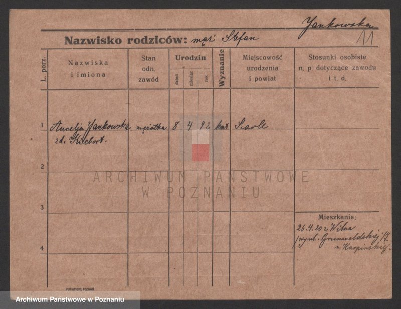 Obraz 11 z jednostki "Jankowski (wdowy i samotni mężczyźni)"