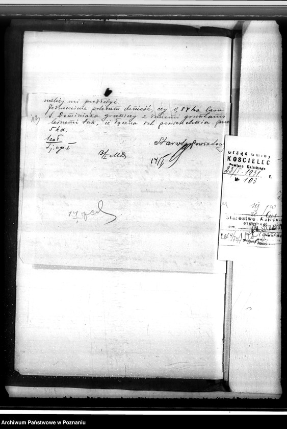 Obraz 17 z jednostki "Gmina Kościelec powiat kaliski /sprawy leśne/"