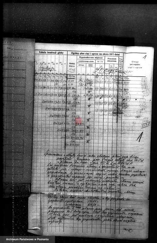 Obraz 5 z jednostki "Majętność leśna w Parzęcinie powiat kościański"