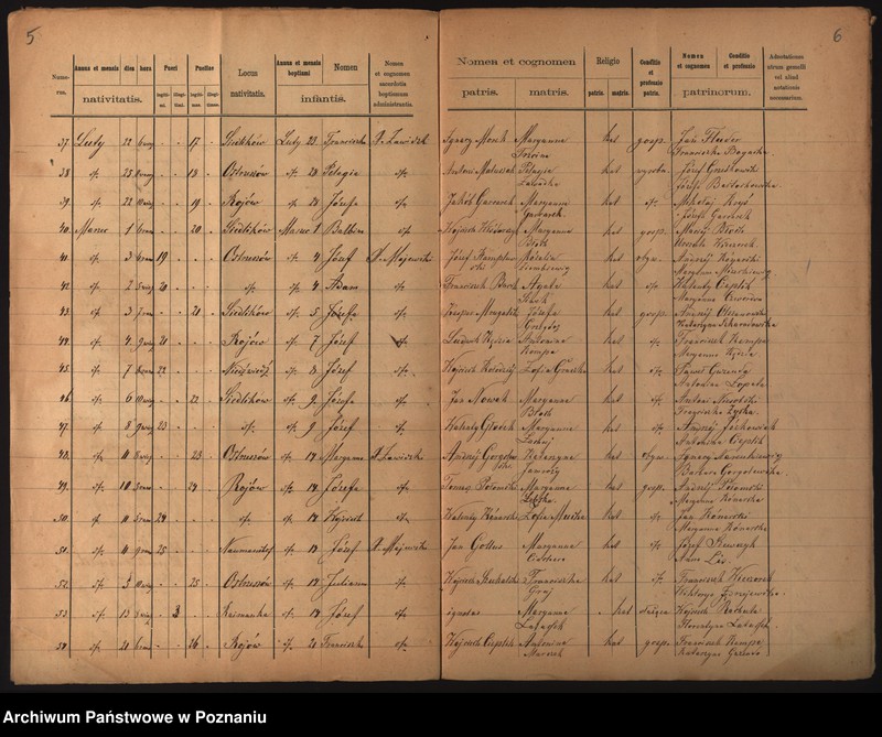 image.from.unit.number "Duplikat urodzonych"