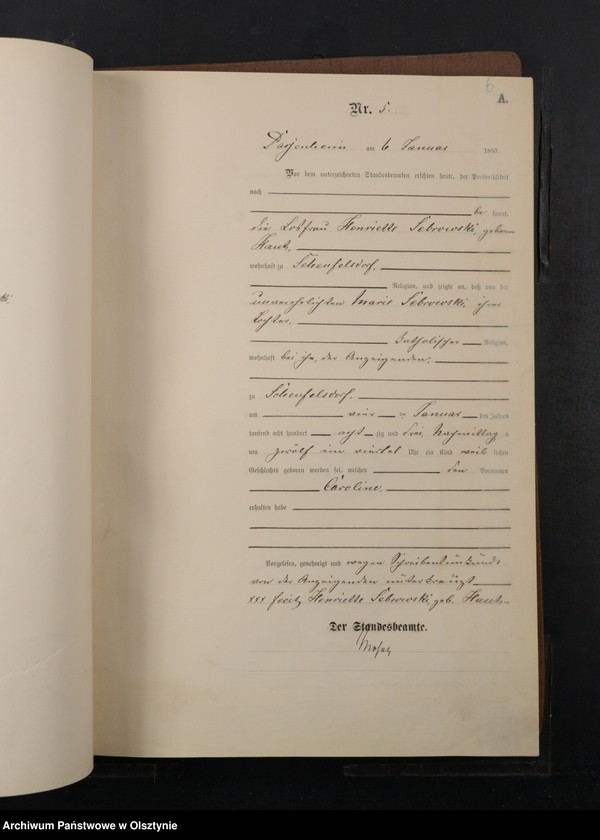 image.from.unit.number "Geburts-Haupt-Register Nr 1 - 246"