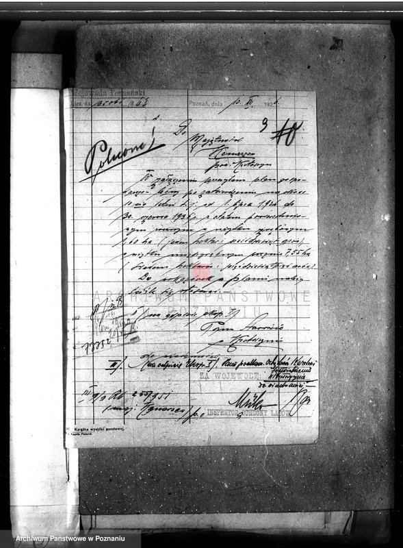 Obraz 14 z jednostki "Majętność leśna Konarzewo powiat krotoszyński"