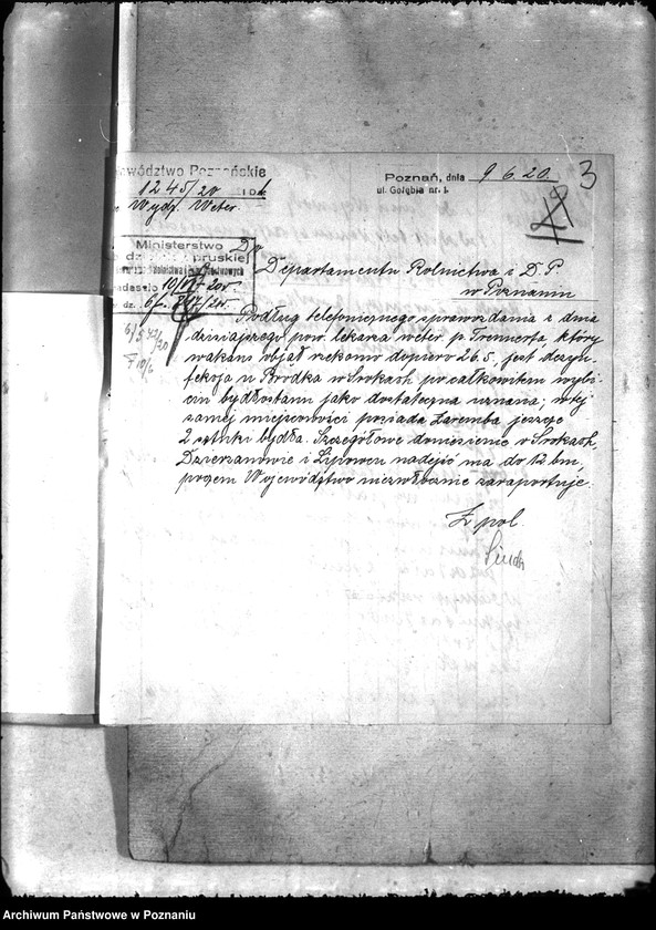 Obraz 7 z jednostki "Zaraza płucna - Koźmin"