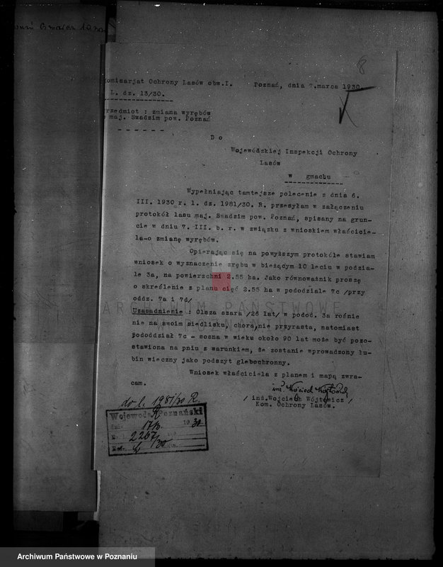 Obraz 12 z jednostki "Majętność leśna Swadzim powiat poznański"