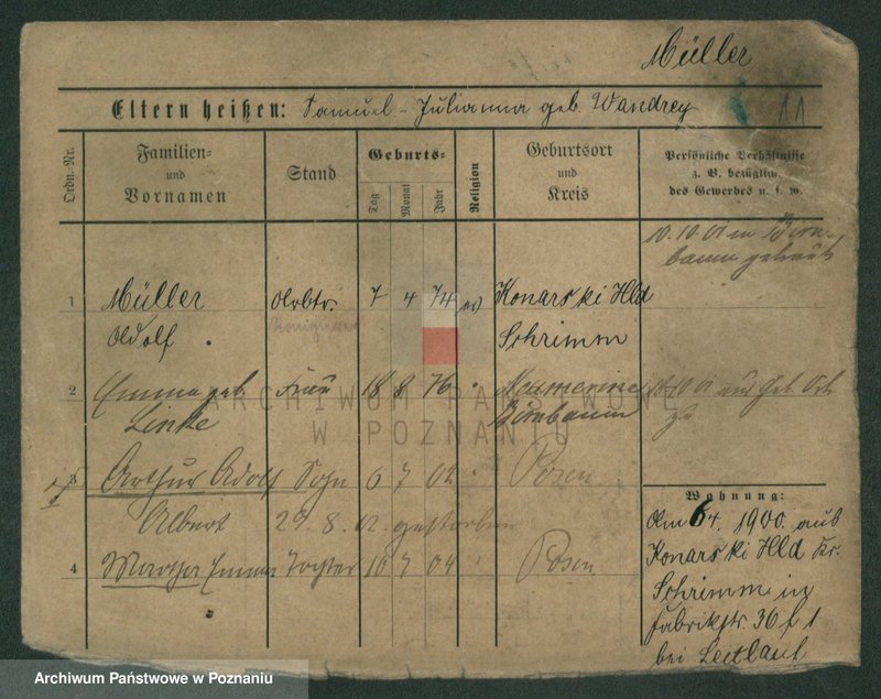 Obraz 13 z jednostki "Müller (żonaci i wdowy)"