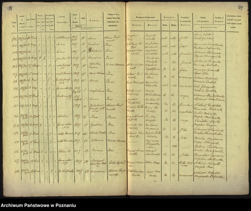 Obraz 13 z jednostki "Księga urodzin"