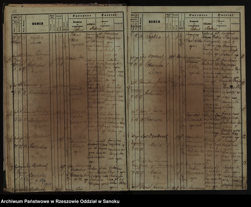 Obraz 12 z jednostki "Księga urodzeń z lat 1852-1896, małżeństw z lat 1862-1918, zgonów z lat 1859-1916 dla miejscowości Falejówka"