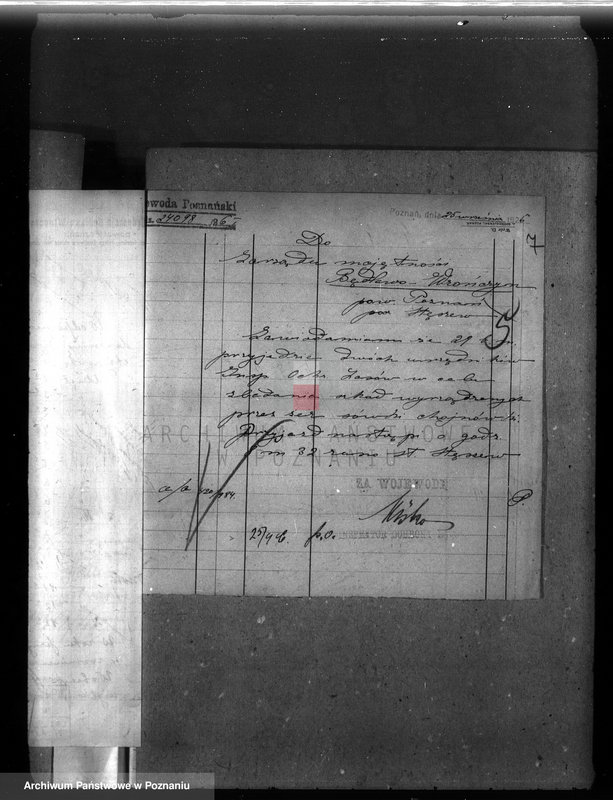 Obraz 10 z jednostki "Majętność leśna Wronczyn-Pomarzanowice powiat poznański"