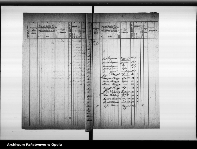 Obraz 11 z jednostki "Acta des Magistrats zu Oppeln betreffend die Aufnahme der Seelenzahl im Adalbert - Bezirk"