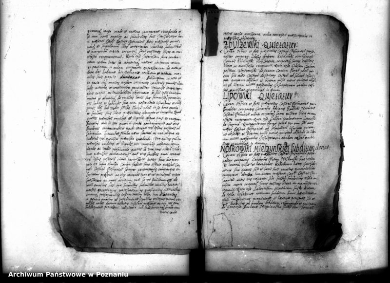 Obraz 9 z jednostki "Inscriptiones [inducta]"