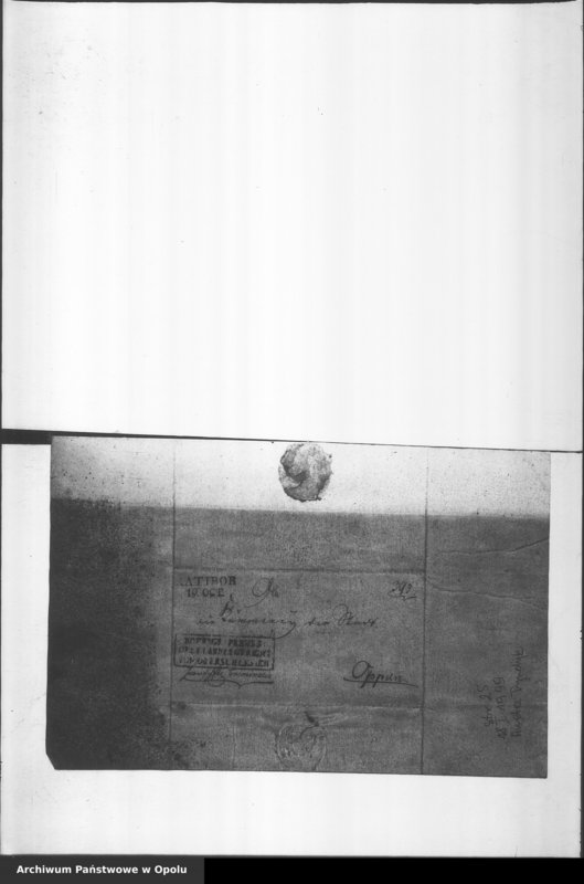 Obraz 19 z jednostki "Acta specialia betreffend die Bezahlung der Criminal - Untersuchungs Kosten in Sachen c/a [contra] Israel Wolf Cohn und Moses Friedlander 1826 Vol. I"