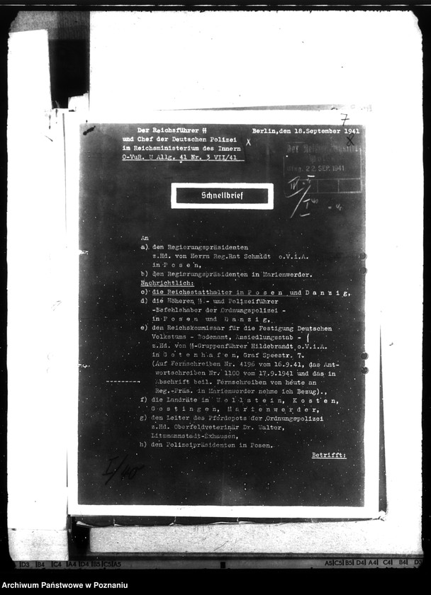 Obraz 11 z jednostki "Pferdedepot der Polizei - Hermanntal bei Neustadt (Posadowo, powiat Nowy Tomyśl) I"