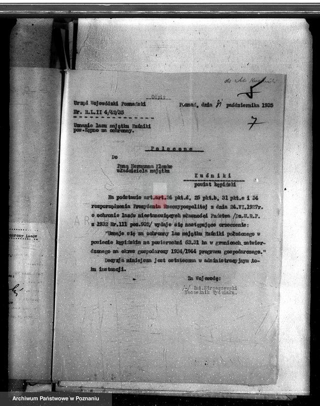 Obraz 11 z jednostki "Lasy majątku Kuźniki powiatu kępińskiego"