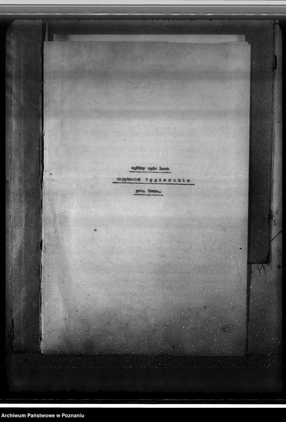 Obraz 5 z jednostki "Majętność leśna Węgierskie powiat średzki [opis lasu i plan cięć]"