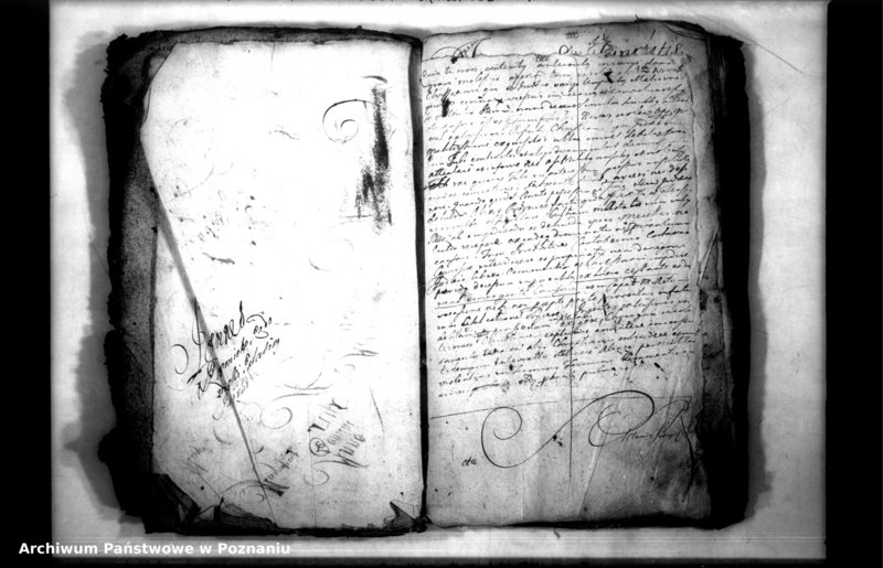 Obraz 4 z jednostki "Relationes [protocollon]"