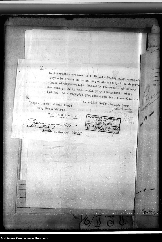 Obraz 11 z jednostki "Majętność leśna Łąka Wielka"