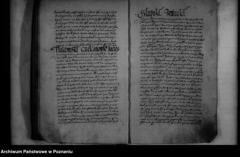 Obraz 19 z jednostki "Inscriptiones [inducta]"