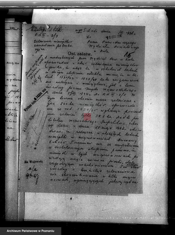 Obraz 20 z jednostki "Zalesienie nieużytków w powiecie kolskim"