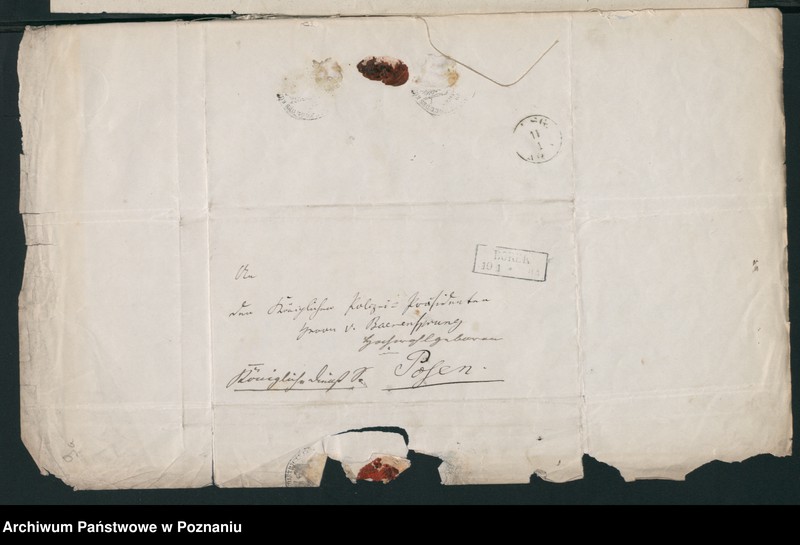 Obraz 13 z jednostki "A. betr. den Johann Taczanowski, Gutsbesitzer - Sohn"