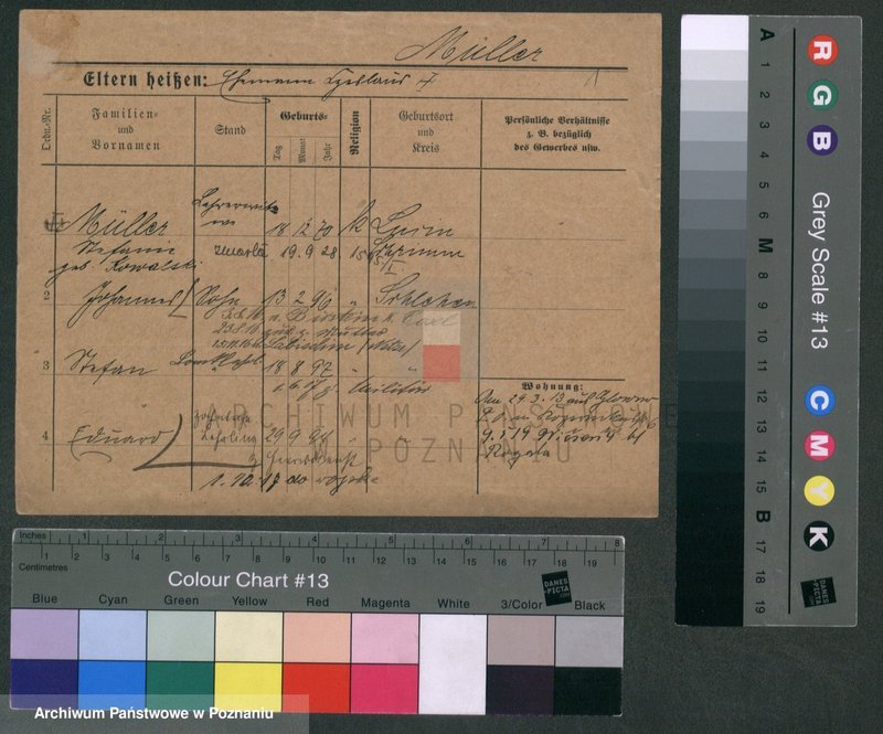 Obraz 3 z jednostki "Müller (żonaci i wdowy)"