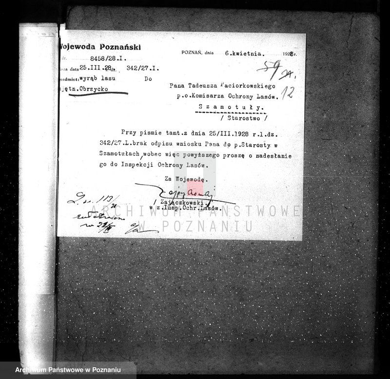 Obraz 16 z jednostki "Ordynacja Obrzycko /nadzór nad gospodarką leśną/"