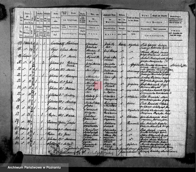 Obraz z zespołu "Akta stanu cywilnego Parafii Rzymskokatolickiej Gołuchów (pow. pleszewski)"