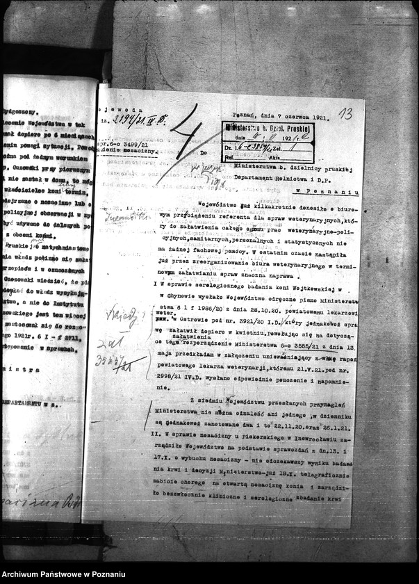 Obraz 17 z jednostki "Nosacizna - Ostrów"