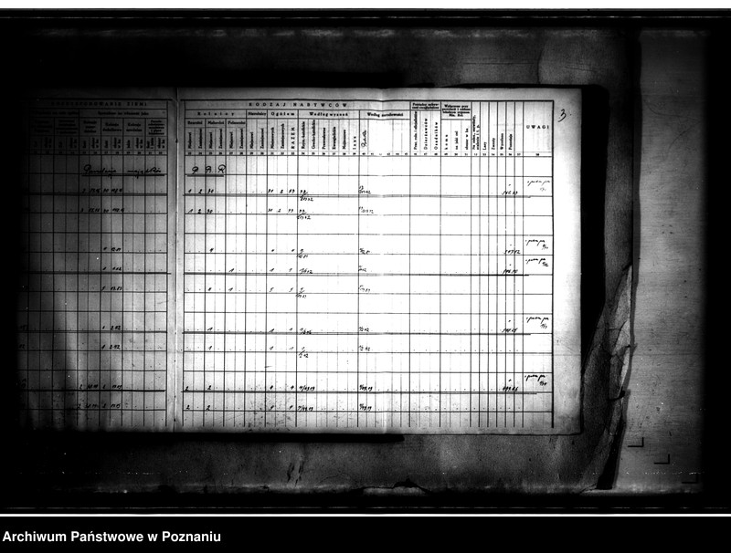 Obraz 8 z jednostki "Księga sprawozdawczo-statystyczna powiatu szubińskiego dla parcelacji Państwowego Banku Rolnego"