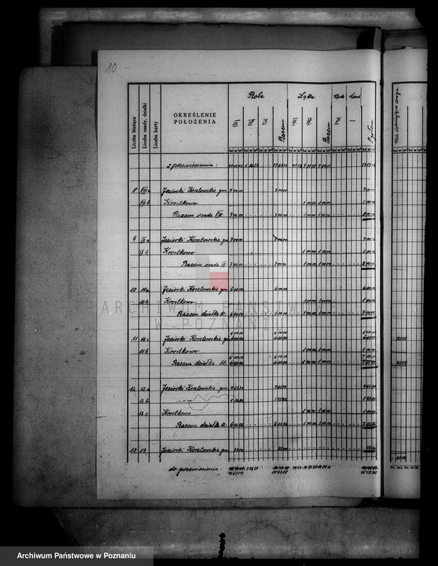 Obraz 15 z jednostki "Tymczasowy rejestr pomiarowy, operat parcelacyjny i szacunkowy majątku Jeziorki Kosztowskie powiatu wyrzyskiego"