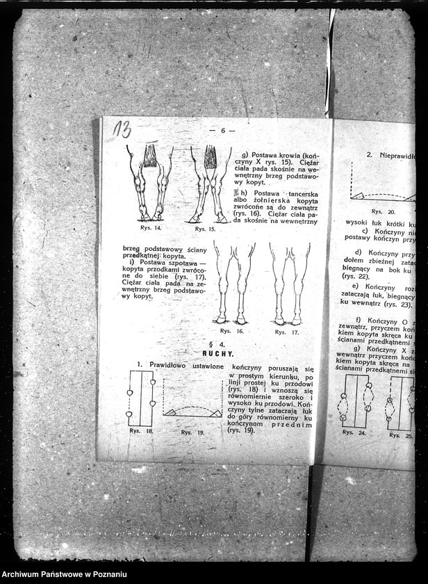 Obraz 19 z jednostki "Podkuwacze koni"